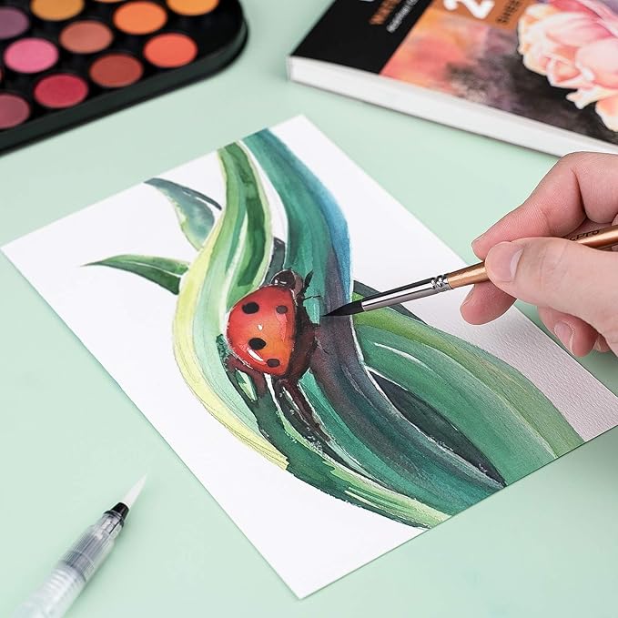 Nicpro Watercolor Paint Set, 48 Water Colors Kit with 8 Painting Brushes, Palette, Watercolor Pen, 25 Art Pad Paper, 2 Art Sponges, Non-toxic Painting Supplies for Kids, Adults, Beginners, Artists