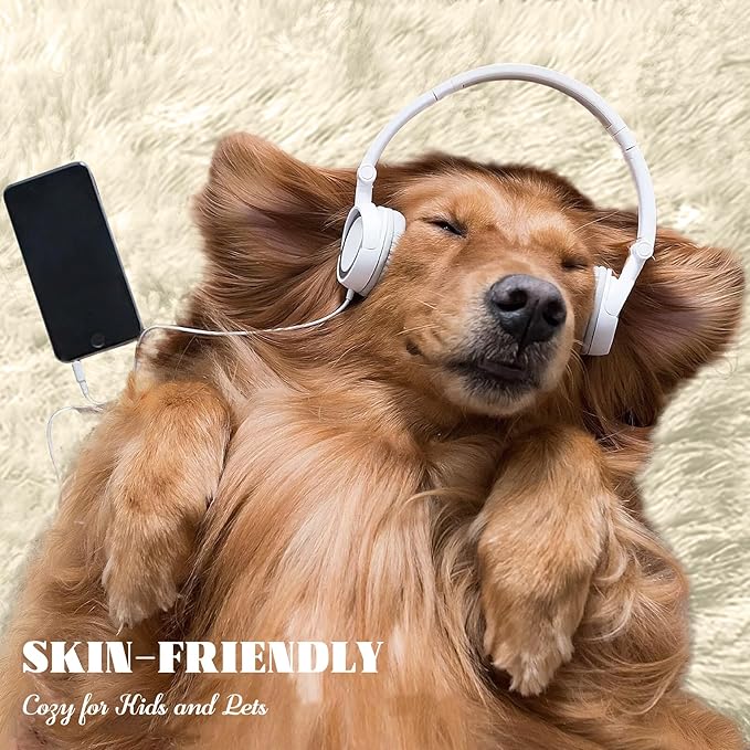 8x10 Area Rug for Living Room: Fluffy Shag Soft Washable Rugs Large Fuzzy Plush Indoor Carpet for Bedroom Nursery Playroom Kids Girls Boys Room (Cream White, 8'x10')