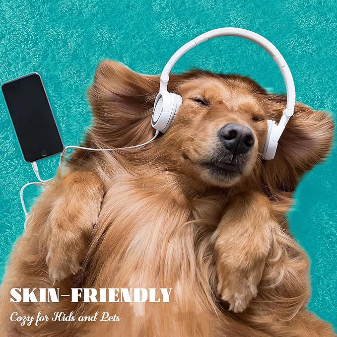 5x7 Area Rug for Living Room: Fluffy Shag Soft Washable Rugs Fuzzy Plush Indoor Carpet for Bedroom Nursery Playroom Dorm Kids Girls Boys Room (Teal Blue, 5'x7')