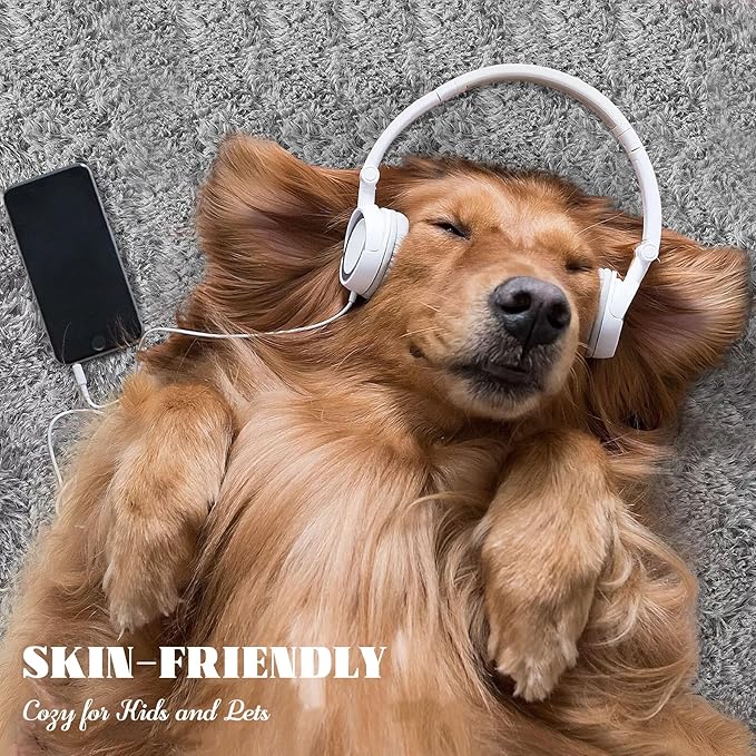 6x9 Area Rug for Living Room: Fluffy Shag Soft Washable Rugs Large Fuzzy Plush Indoor Carpet for Bedroom Nursery Playroom Kids Girls Boys Room (Grey, 6'x9')