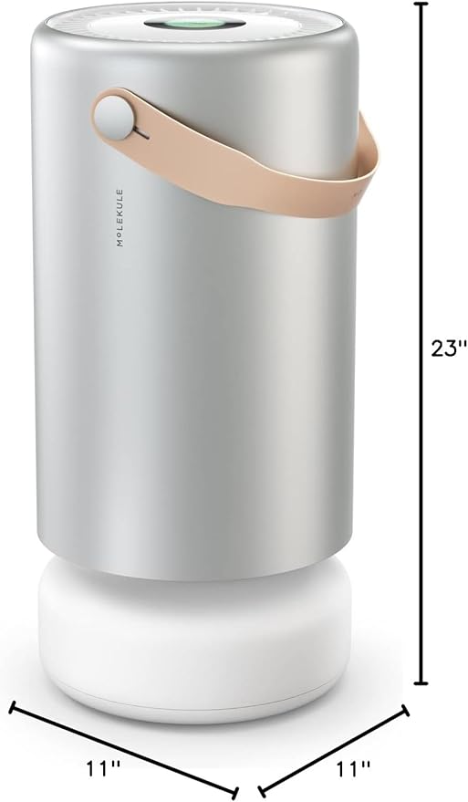 Molekule Air Pro Air Purifier - Purifies Rooms Up to 1000 Sq Ft with High Foot Traffic - FDA Cleared for Destruction of Viruses, Bacteria & Mold - Silver
