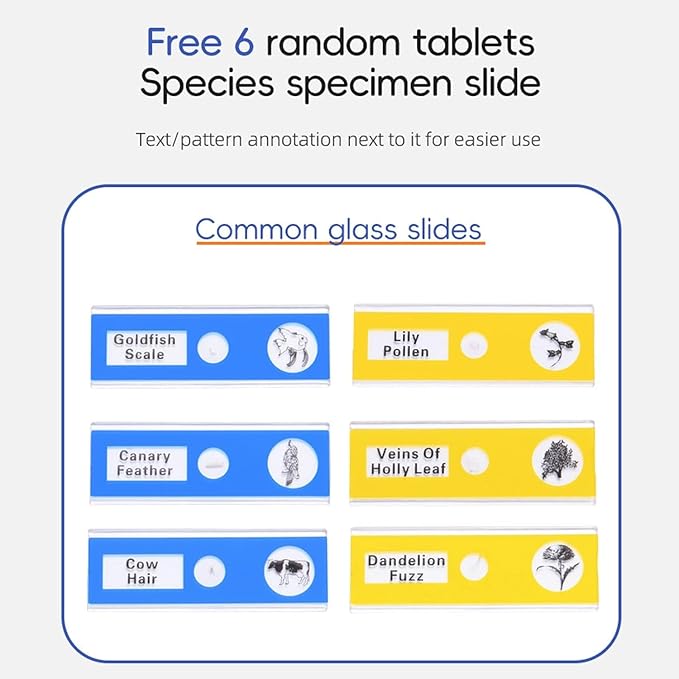 Portable Labsters Microscope - 1000X Telescope & SD Card Photo & Video Microscope for Kids 3+