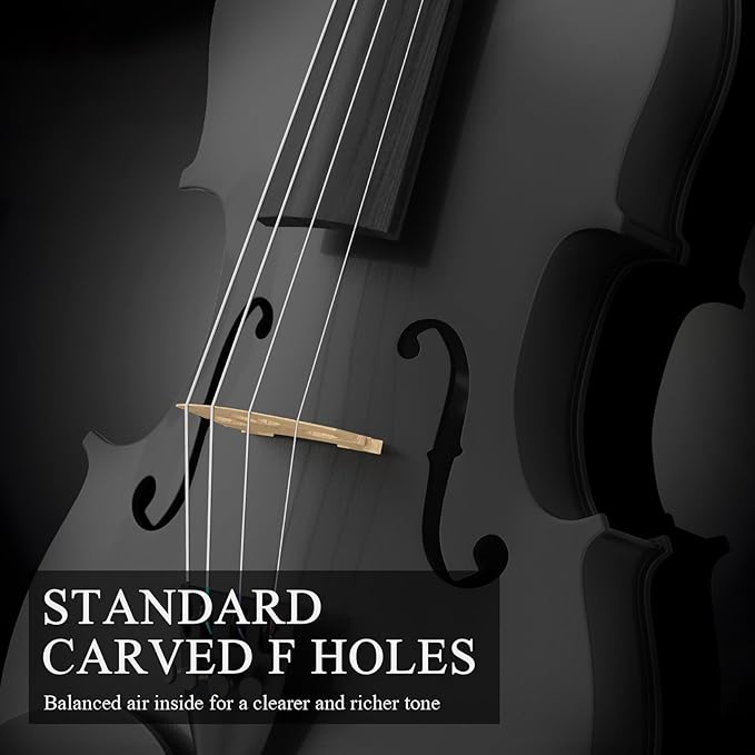 4/4 Beginner Violin Kit for Adults, Complete Full Size Violin Set with Portable Case, Bow, Rosin, Black