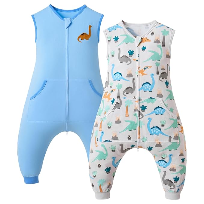 Baby Toddler Sleep Sack with Feet 2.5 TOG Winter, Wearable Blanket with Legs, Toddler Sleeping Sack Long Sleeve (Dinosaur, 12M-2T)