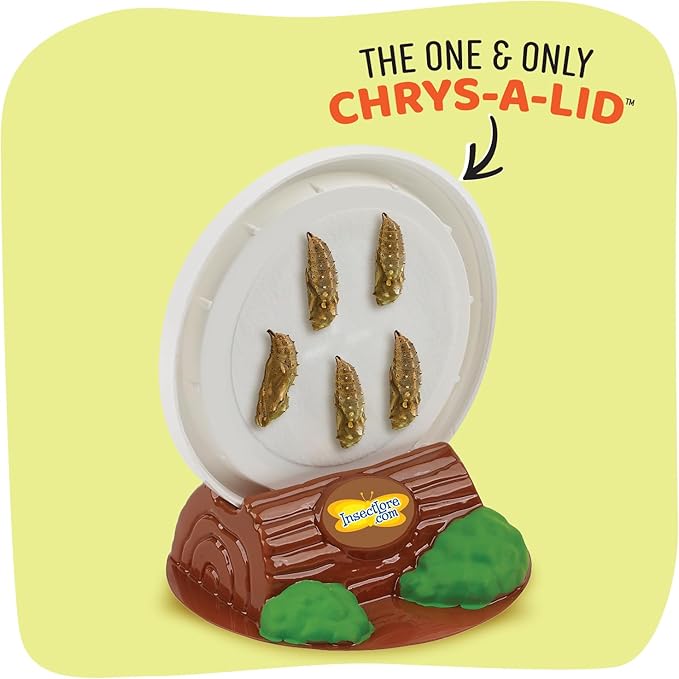 Insect Lore Butterfly Farm - Live Cup of 5 Caterpillars, Reusable Habitat, STEM Butterfly Activity Journal & Supplies - Grow, Observe and Release Painted Lady Butterflies