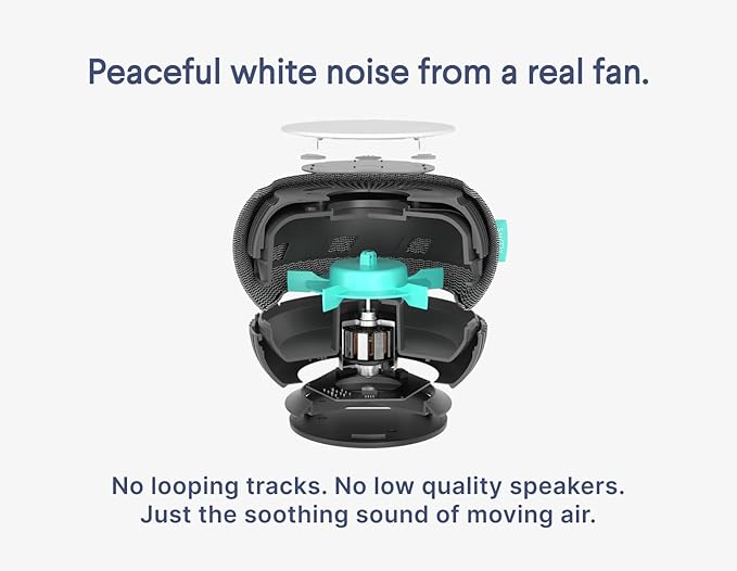 SNOOZ Smart White Noise Sound Machine - Real Fan Inside for Non-Looping White Noise, Sleep Aid for Adults, Travel, Sleeping, Bedroom, Portable, Baby Registry Essential - Charcoal