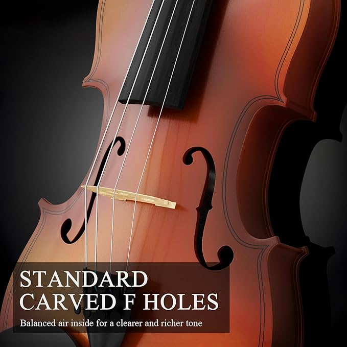 4/4 Beginner Violin Kit for Adults, Complete Full Size Violin Set with Portable Case, Bow, Rosin, Natural
