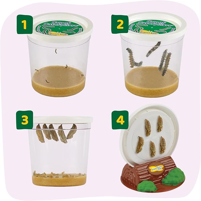 Insect Lore Butterfly Garden - 8" Habitat with 5 Live Baby Caterpillars - Includes Life Cycle Figurines, Stickers, Wind up, Mini Habitat | Birthday or Teacher Gift Set