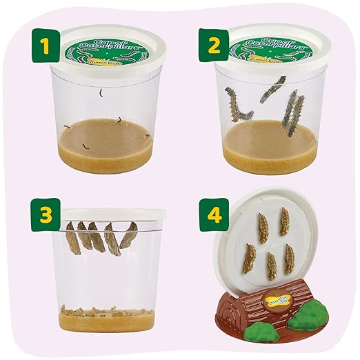 Insect Lore Cup of Caterpillars - 5 Live Painted Lady Caterpillars with Food - Refill for Butterfly Garden Kit - Stickers & Chrys-A-Lid Holding Log Included - STEM Learning Activity