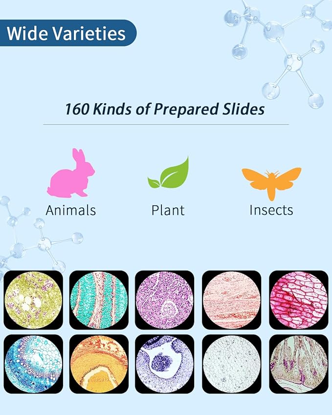 160-Pcs Microscope Slides with Specimens,Pre-Made Glass Slides with Specimens,Educational Microscope Slides and Covers for Young Scientists,Perfect for Biology Class and Experiments