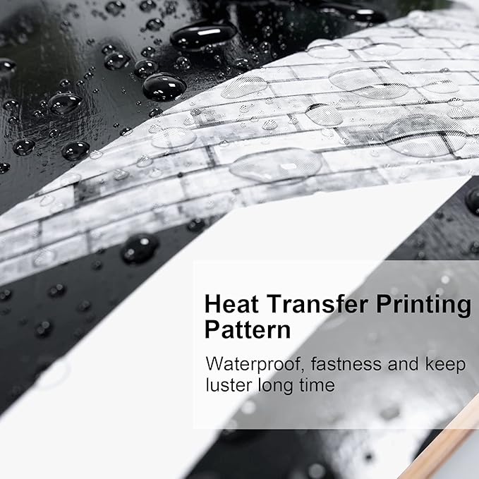 WhiteFang Skateboards for Beginners, Complete Skateboard 31 x 7.88, 7 Layer Canadian Maple Double Kick Concave Standard and Tricks Skateboards for Kids and Beginners