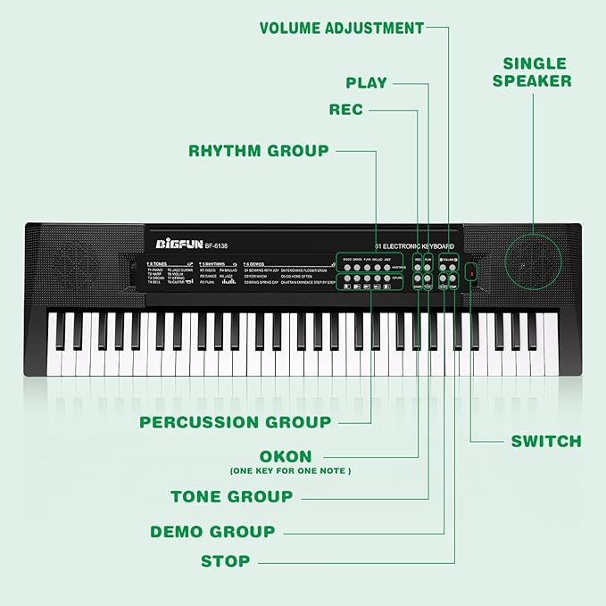 M SANMERSEN Kids Music Keyboard, 61-Key Portable Electronic Piano Toy with Microphone, Teaching Tool for Beginners, Ages 3-12, Black