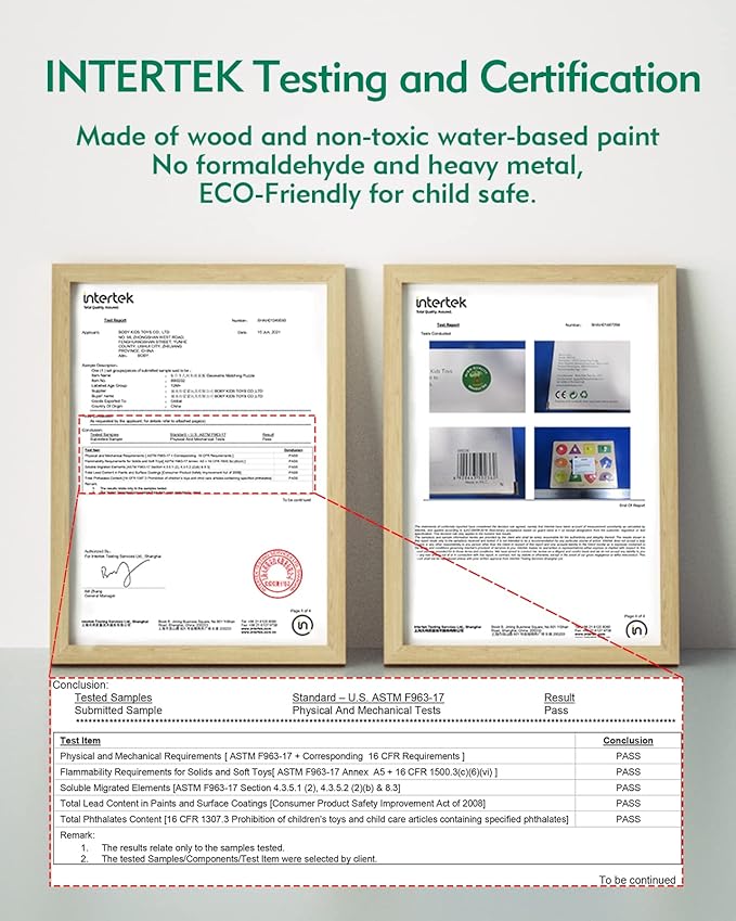 Montessori Shape Puzzle - Colorful Sorting Pieces for Toddlers 1-3 Years & 6-12-18 Months Developmental Toys