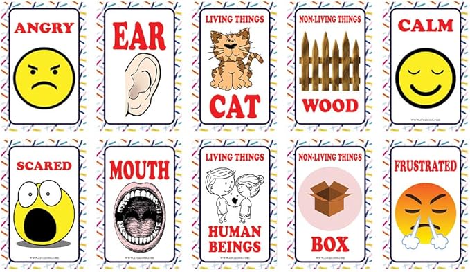 Creanoso US Schools and Learning Flash Cards Series (2-Deck)