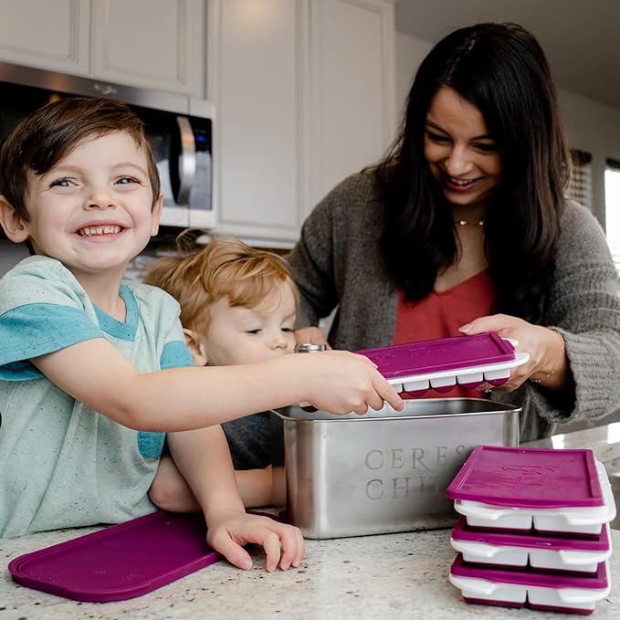 CERES CHILL The Milkstache Luxe Reusable Breastmilk Freezer Storage Container - 1/2 Ounce Cubes fit Any Baby Bottle, Freezing Pumped Milk has Never Been Easier (Stainless Steel), 1 Count