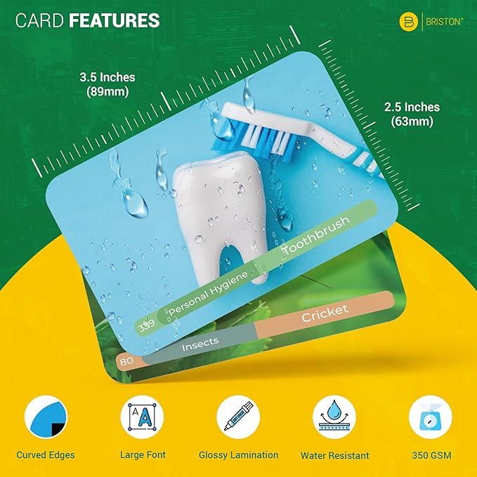 Spanish Vocabulary Flash Cards – 600 Full Color Cards [Updated 2025 Edition] Educational Language Learning Resource - Memory & Sight Words – Game Like Play - Kids, Grade School, Classroom, Homeschool