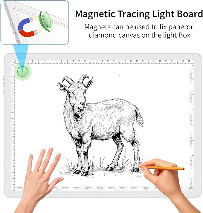 Phylosal Magnetic A4 Light Pad, Super Bright Light Box with Side Button, Diamond Art Light Board, Lightbox for Tracing and Drawing, USB Power Artcraft Light Table for Sketching, Weeding Vinyl (White)
