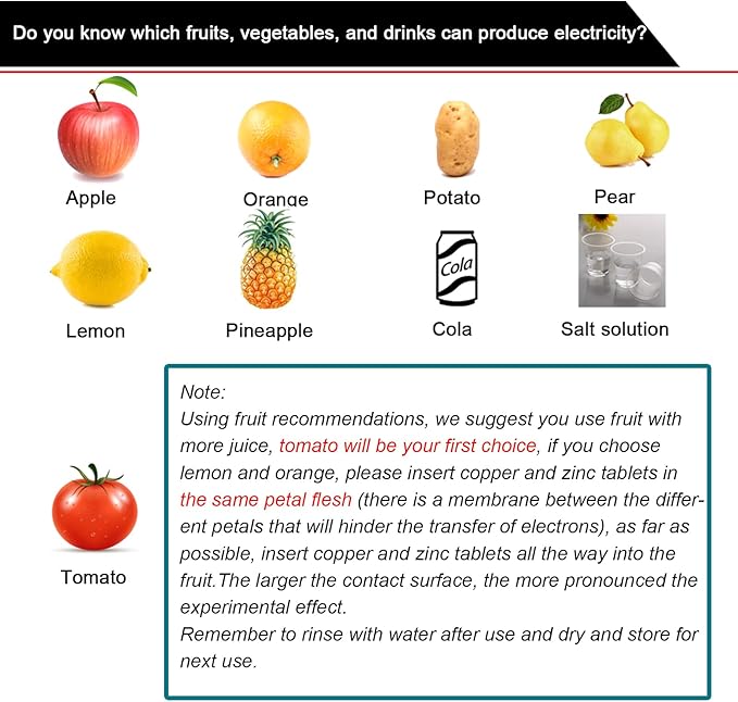 EUDAX Fruit Battery Science Experiment Kit for DIY School Home Teaching Equipment, Orange Lemon Potato Electronic Clock Science Project Kit Physics Educational for Students Teachers (8 Set)