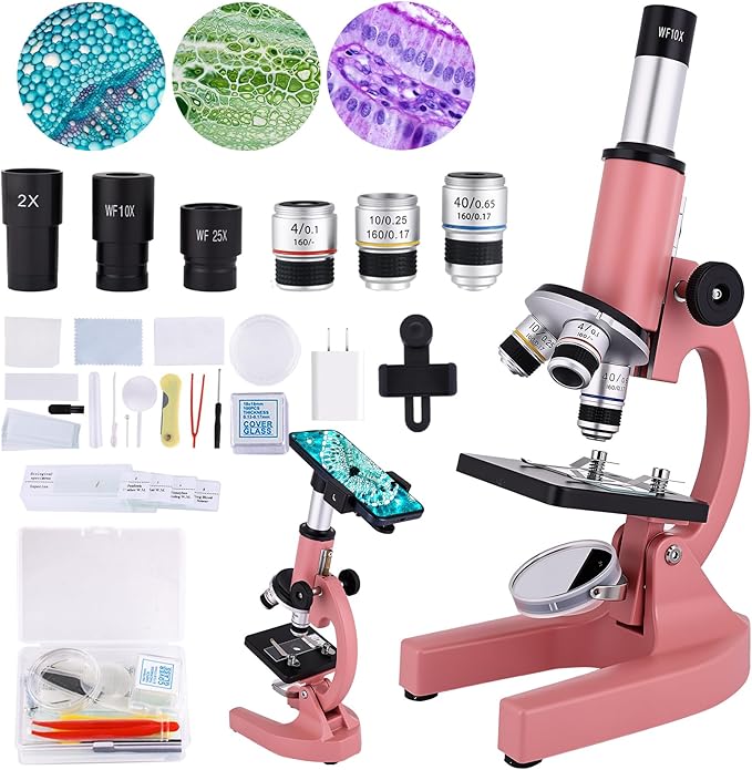 Microscope for Kids 40X-2000X with LED supplemental Light, Slides and specimens, Microscope for Kids 8-12 for School Labs and homeschooling.