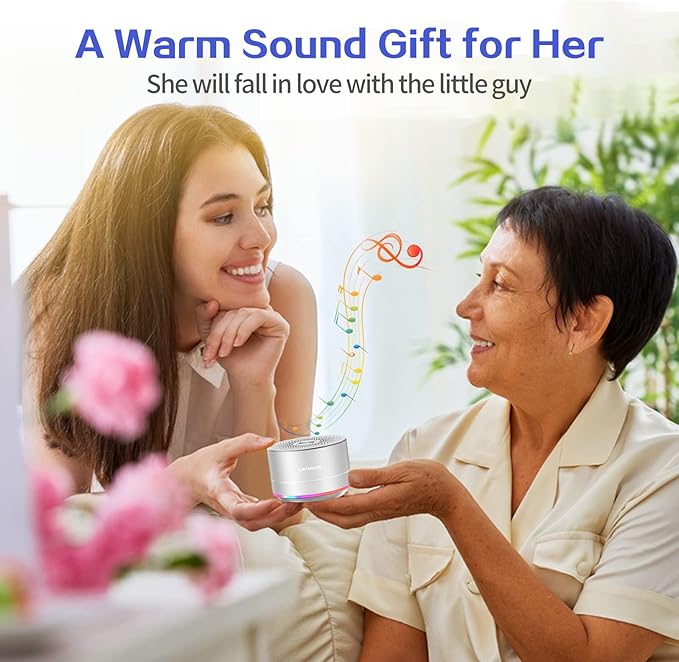 LENRUE Portable Wireless Bluetooth Speaker with Built-in-Mic,Handsfree Call,AUX Line,HD Sound and Bass for iPhone Ipad Android Smartphone and More (Silver)