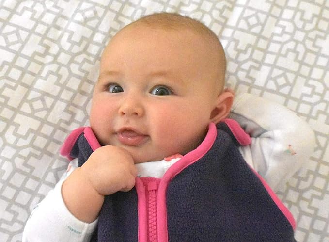 baby deedee Sleep nest Fleece Baby Sleeping Bag, Purple Rain, Medium (6-18 Months)