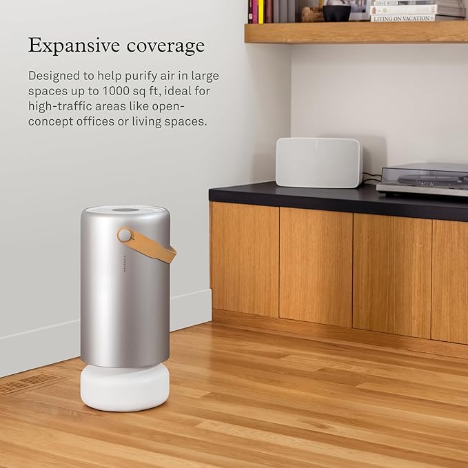 Molekule Air Pro Air Purifier - Purifies Rooms Up to 1000 Sq Ft with High Foot Traffic - FDA Cleared for Destruction of Viruses, Bacteria & Mold - Silver