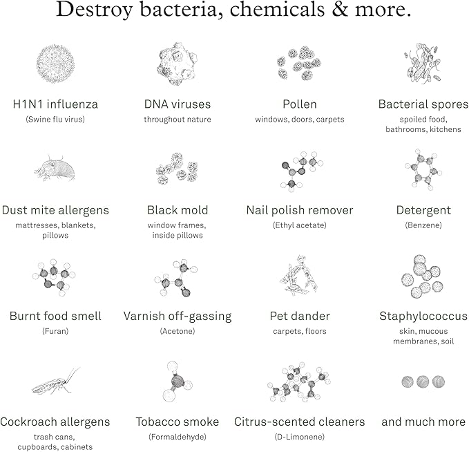 Molekule Air Pro Air Purifier - Purifies Rooms Up to 1000 Sq Ft with High Foot Traffic - FDA Cleared for Destruction of Viruses, Bacteria & Mold - Silver