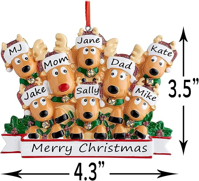 Personalized Christmas Ornaments 2025 Family of 2/3/4/5/6/7/8 Deer Christmas Ornaments Custom Name Customized Gifts for Xmas Tree,Family of 3