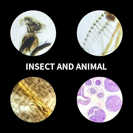 100Pcs Prepared Microscope Slides Set Professional Specimens for Kids Student Homeschool Use