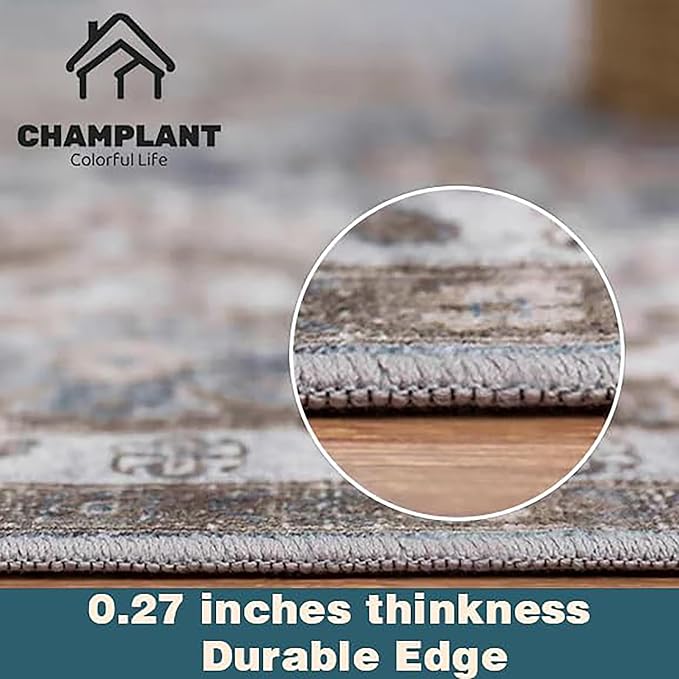 Area Rug 5'x7' Washable Rug Traditional Floor Cover Thin Retro Kitchen Indoor Distressed Non Slip Carpet for Living Room Bedroom Dining Room