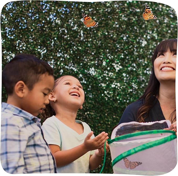 Insect Lore Raise and Release Butterfly Garden Kit – Caterpillar Habitat with redeemable Voucher – STEM-accredited Live Butterfly Growing Kit for Kids, Classrooms, and Homeschool Learning
