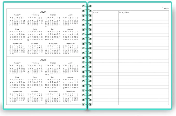 Undated Daily Planner - Undated Planner with Hourly Schedules, Action Items and Follow-up, A4 Daily Organizer Notebook to Increase Productivity, Appointment Book for Time Management, 8.5 × 11 Inch
