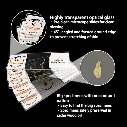 30 Prepared Microscope Slides with Specimens for Kids Students - Plants, for Biological Science Lab, Children's Science Education, Homeschooling Use