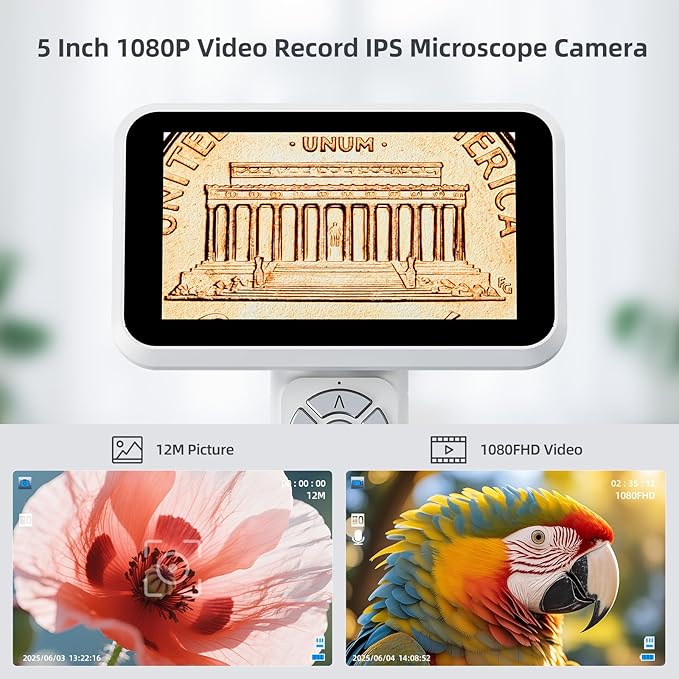 Andonstar Digital Microscope, 5" 1080P Coin Microscope Camera for Error Coin with 7.3" Metal Stand for Adults Kids, Handheld USB Coin Magnifier with 8 Adjustable LED Lights, Windows Mac PC View, AD115