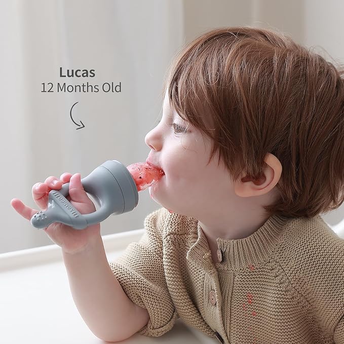 SAMiGO Baby Food Fruit Feeder and Breastmilk Popsicle Mold Set, Silicone Fruit Teether, Food Feeder Pacifier for Teething Relief, Freezer Tray, Baby Feeding Essentials, 4 Months+