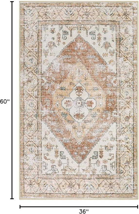 Lahome Boho Washable Living Room Area Rug 3x5 Throw Non-Slip Rugs for Bedroom Aesthetic Lightweight Thin Entry Rug Kitchen Rugs Oriental Distressed Print Capet for Office Bathroom Laundry Room