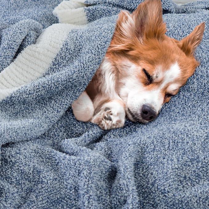 NEXHOME PRO Super Soft Throw Blankets, Cozy Warm Blankets Knit Blanket for Women, Fuzzy Plush Lightweight Throws for Couch, Sofa, Bed, Picnic, Heather Blue White, 50 x 60 inches