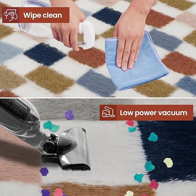 Super Soft Rug for Bedroom, 4x6 Ft Rainbow Area Rug Classic Checkered Shaggy Rug Anti-Skid High Pile Soft Fluffy Fuzzy Carpet for Living Room Bedroom Kids Room Nursery, Dorm Home Decor