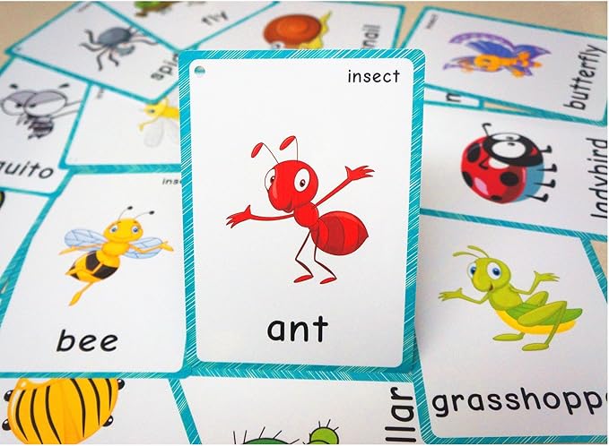 SANTSUN 14 Insects and Bugs Flashcards for Kindergarten Classroom Decoration Background Wall Stickers Teach Flash Card & Daycare Decorations Learning Cards