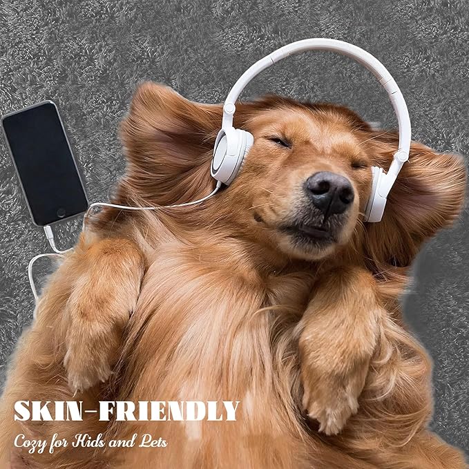 5x8 Area Rug for Living Room: Fluffy Shag Soft Washable Rugs Fuzzy Plush Indoor Carpet for Bedroom Nursery Playroom Dorm Kids Girls Boys Room (Dark Grey, 5'x8')