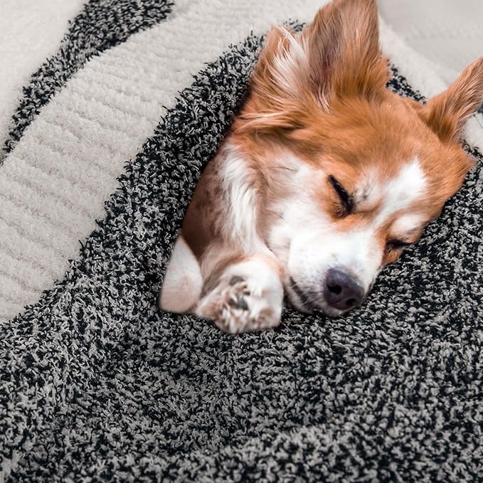 NEXHOME PRO Twin Size Soft Throw Blankets for Couch, Cozy Blankets Reversible Warm Knit Blanket for Women, Fuzzy Plush Lightweight Throws for Sofa, Bed, Picnic, Black 60 x 80 inches