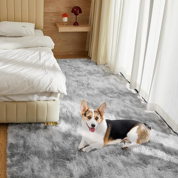 5X8 Ultra Soft Rug for Living Room, 5X8 Fluffy Shag Area Rug for Bedroom, Modern Shaggy Carpets Fuzzy Rug for Teens Dorm Nursery Home Decor Aesthetic, Upgrade Anti-Skid Durable, Tie-Dyed Light Grey