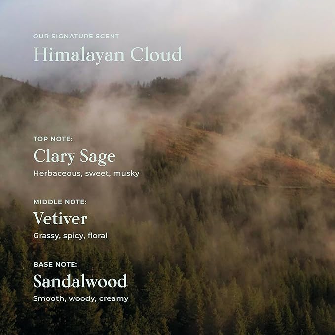 SHAZ & KIKS Ultra Hydrating Turmeric Shampoo | Sulfate-Free Shampoo for Dry, Itchy, Flaky Scalp | Deliver Deep Hydration with Turmeric & Kokum Butter