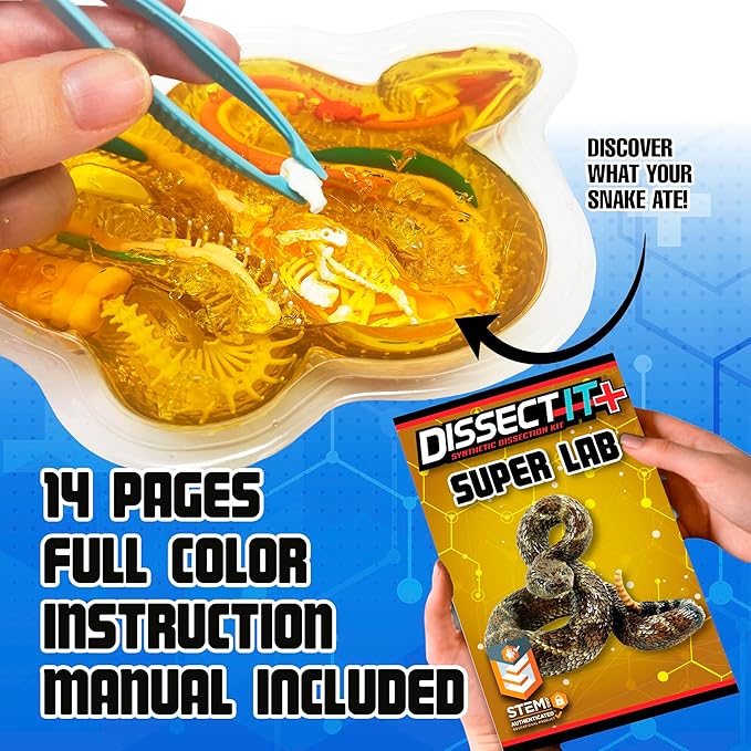 Rattlesnake Super Lab Dissect It Kit for Kids, Synthetic Dissection Kids Science Kit to Learn Biology, STEM Toys for 6 Year Old and Up