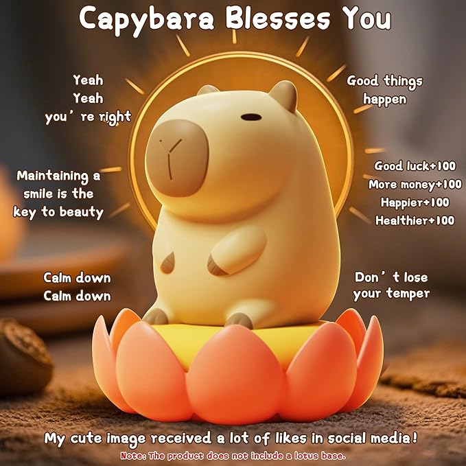 Cute Capybara Night Light, LED Squishy Novelty Animal Night Lamp,2 Levels Dimmable/Timer Nursery Nightlight for Kids, Rechargeable Touch Bedside Lamp, Bedroom/Dorm Decor, Baby Boys Girls Gifts