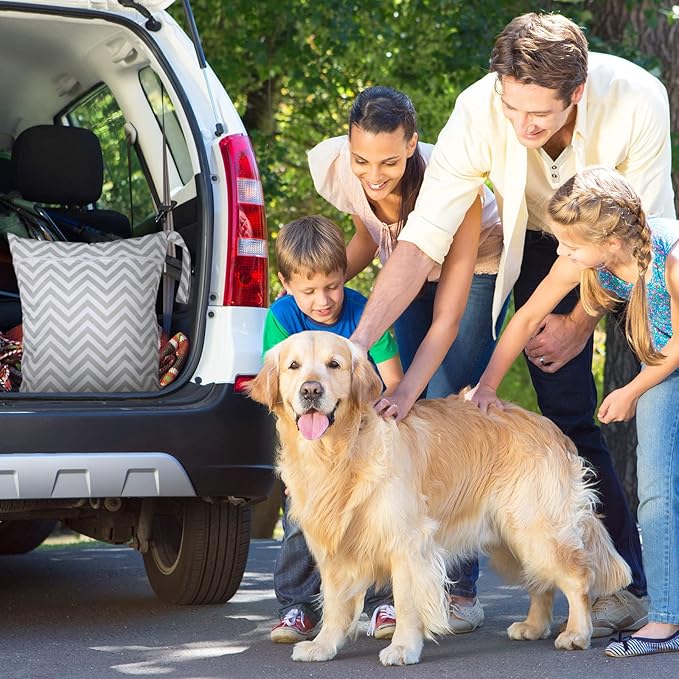 Shappy 2 Pcs Large Travel Laundry Bag Washable Waterproof Wet Dry Large Dirty Clothes Bag Bathing Workout(Stripe Style)