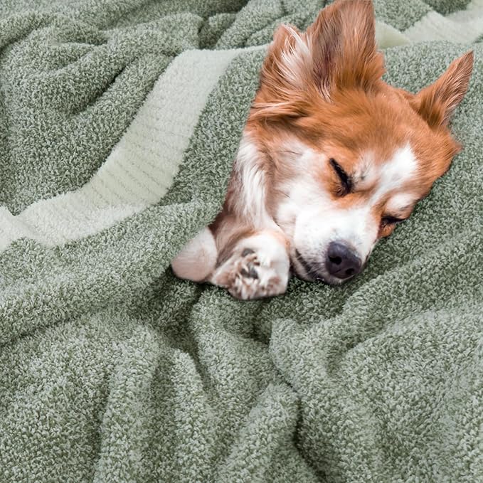 NEXHOME PRO Super Soft Throw Blankets for Couch, Reversible Warm Blankets Cozy Knit Blanket for Women, Fuzzy Plush Lightweight Throws for Sofa, Bed, Picnic, Sage Green White, 50 x 60 inches