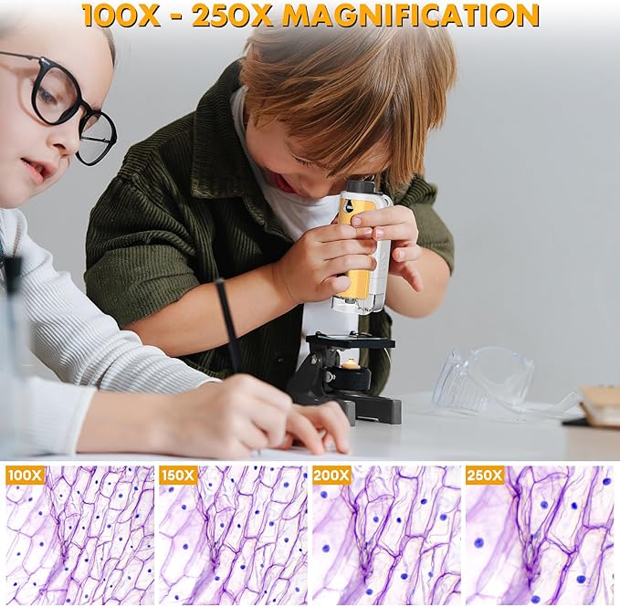 Portable Microscope for Kids, 100x-250x Zoom with LED Lights, Alloy Pocket Microscope for Boys & Girls, Educational Science Kit (Gold)
