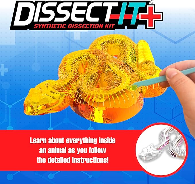 Rattlesnake Super Lab Dissect It Kit for Kids, Synthetic Dissection Kids Science Kit to Learn Biology, STEM Toys for 6 Year Old and Up