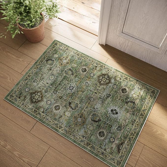 Machine Washable Small Rugs for Kitchen: Door Mat Indoor Entrance 2x3 Throw Rug Stain Resistant Non-Slip Low Pile Soft Carpets for Entryway Front Door Indoor Entrance Entry Bedroom